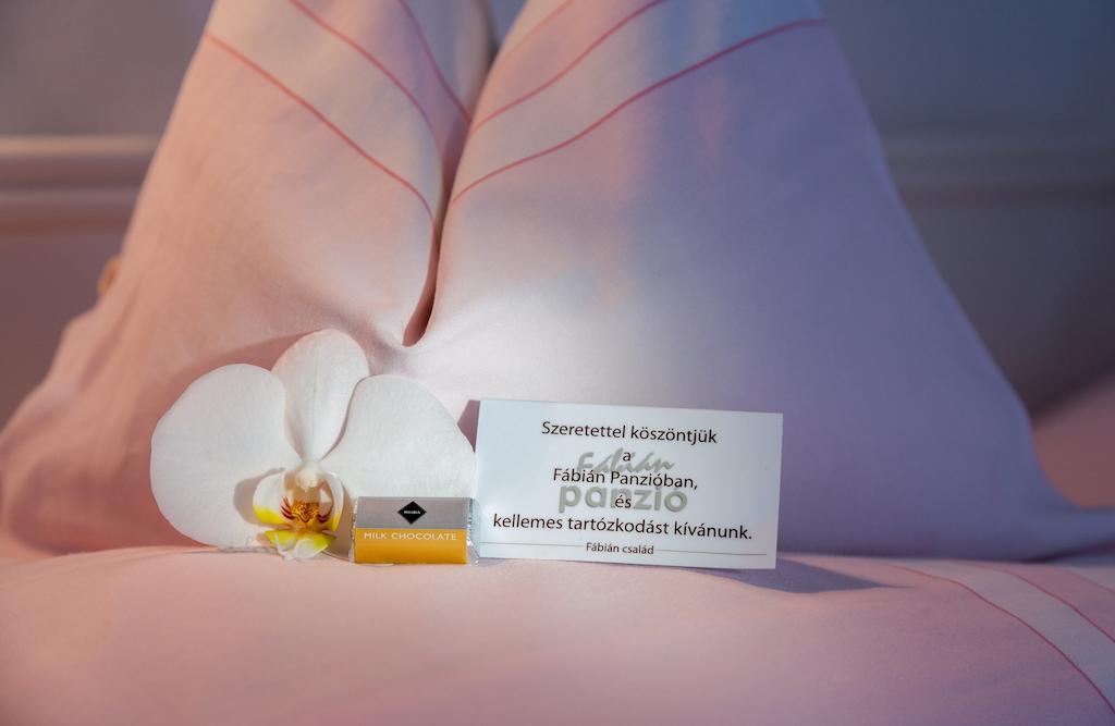 Fabian Panzio Hotel Kecskemet Bilik gambar